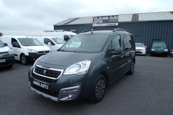 PEUGEOT PARTNER TEPEE